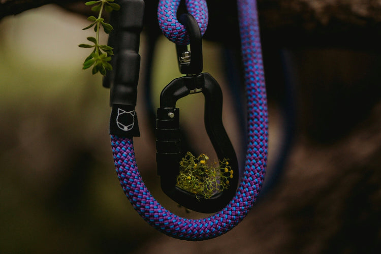 7 + 8mm Leashes