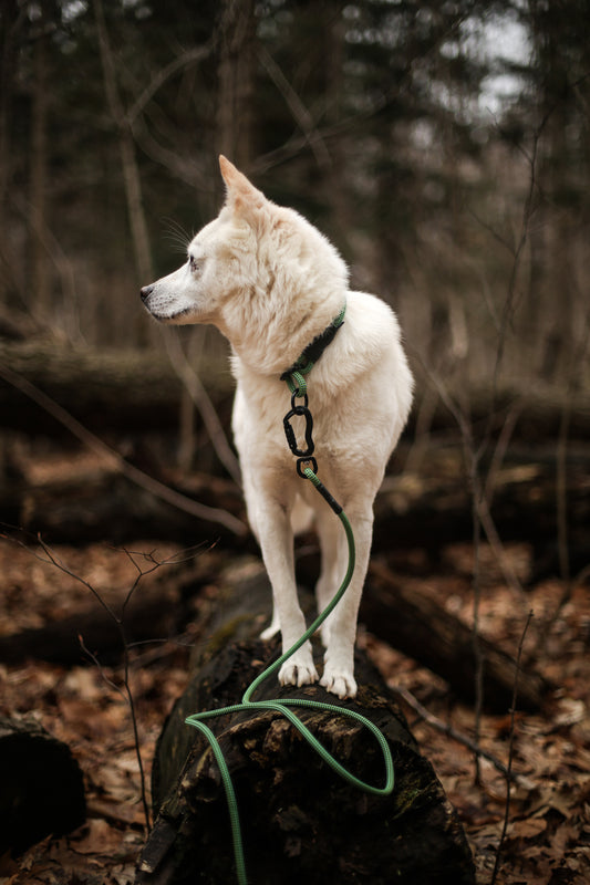 Rope Slip Collar - Sage Meadow 7mm