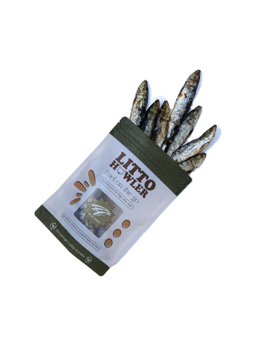Whole Sardines