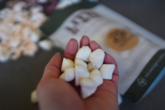 Freeze-Dried Scallop