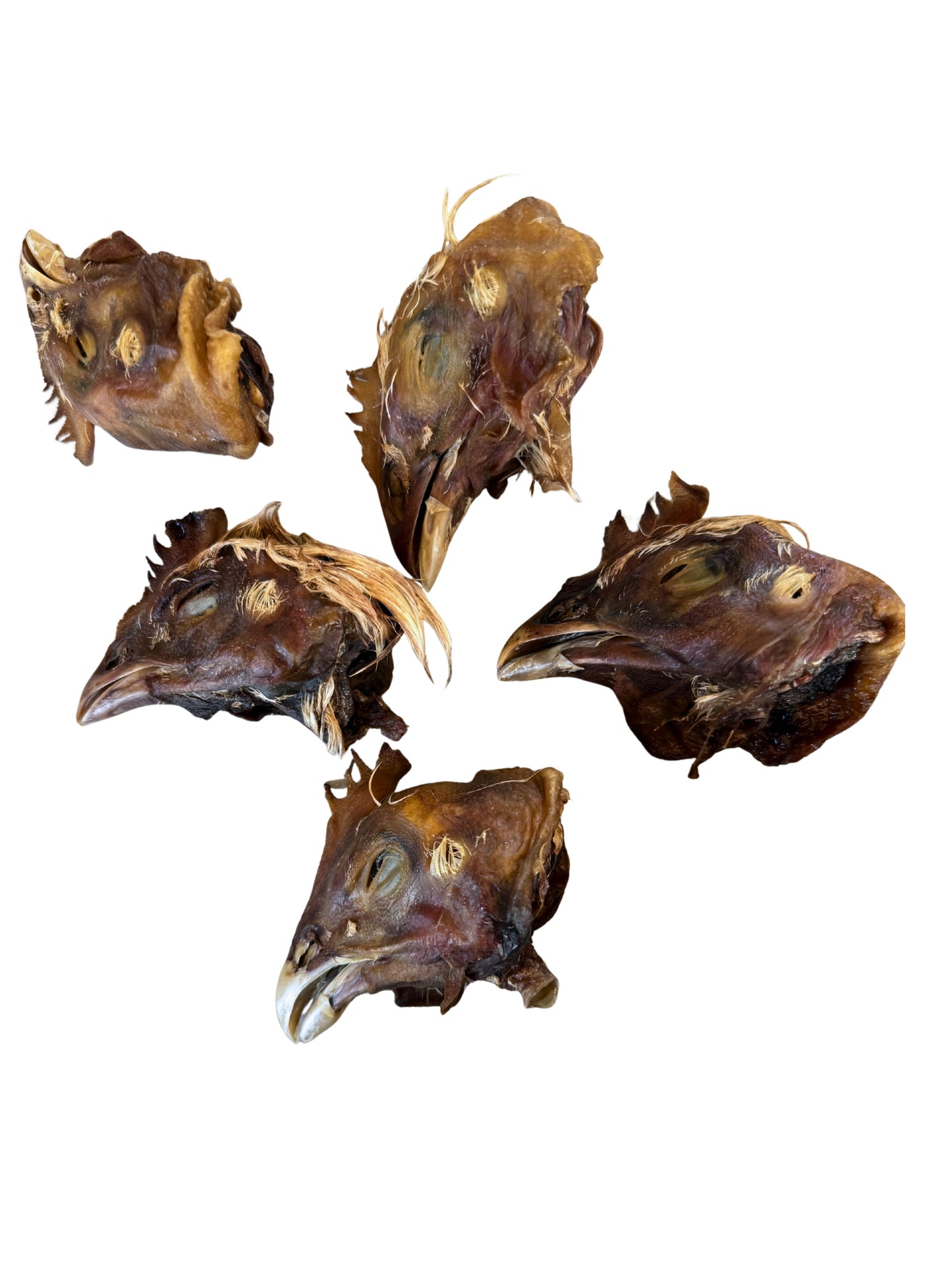 Chicken Head