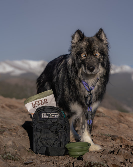 Explore Pack - Black