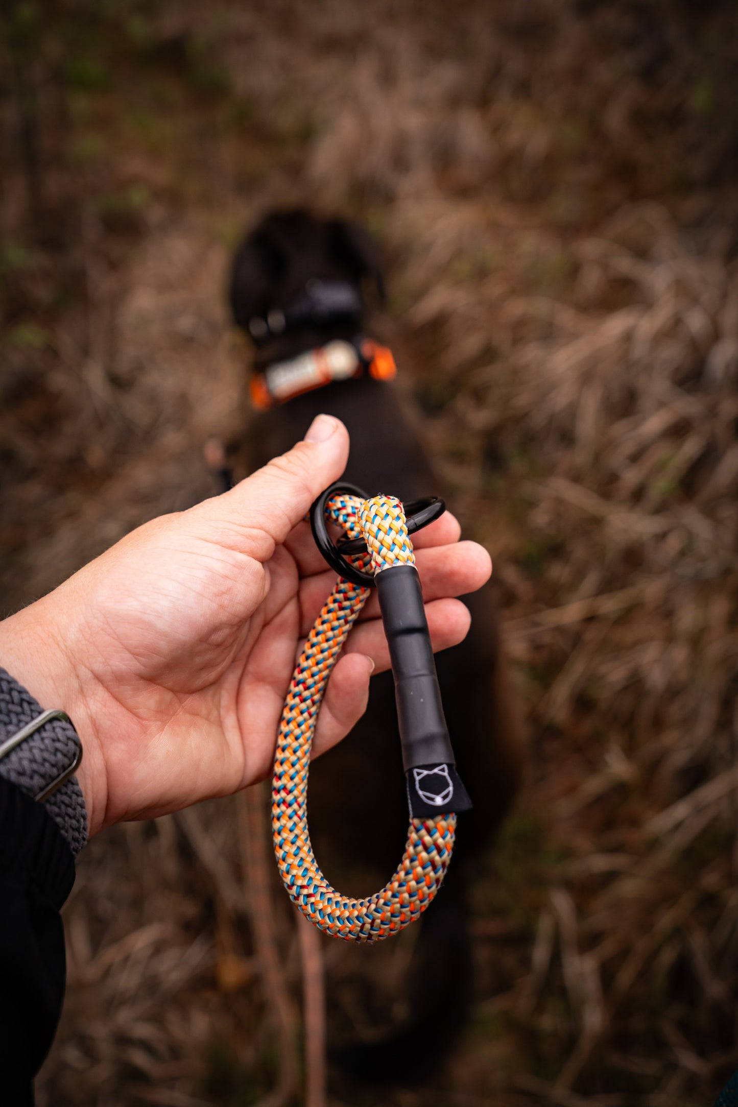 IN STOCK: Adjustable Hands-Free Leash - 8 FT - Saguaro Green 10mm