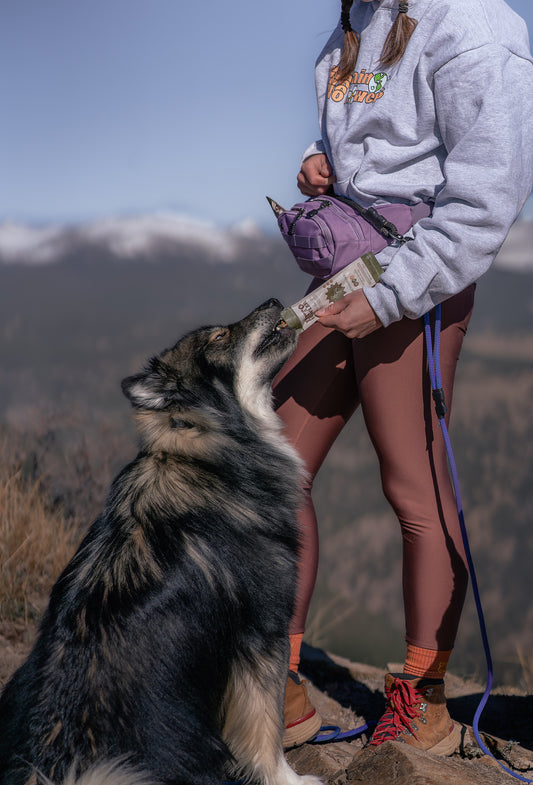 Adventure Pack - Lavender