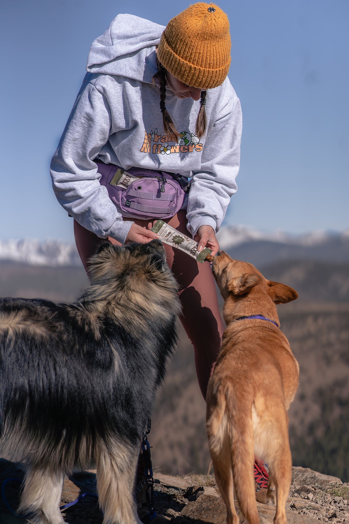Adventure Pack - Lavender