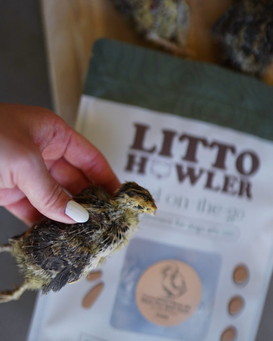 Freeze-Dried Whole Prey 2- Week Old Quail Chicks