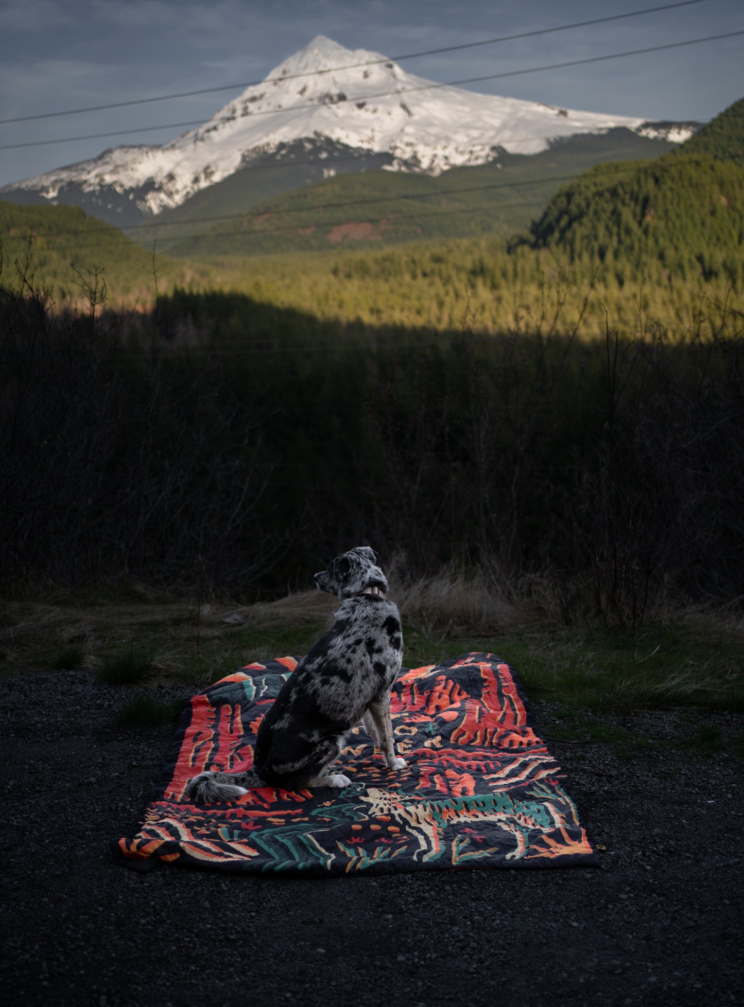 Adventure Blanket: Spring Blooms & Camp Moons