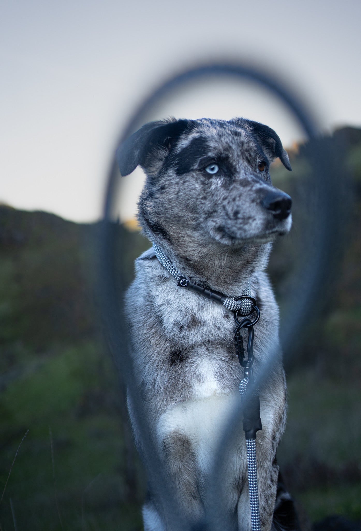 Rope Slip Collar - Midnight Tundra 10mm