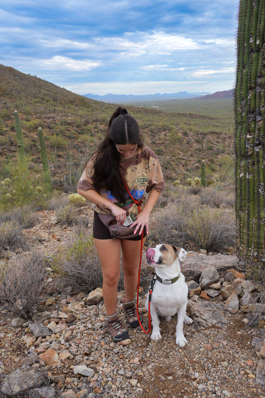 Adjustable Hands-Free Leash - 7+ 8mm