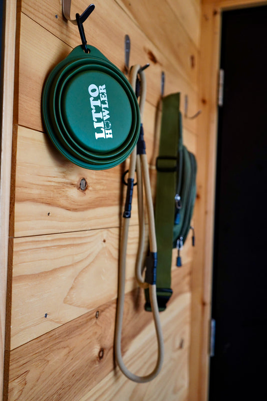 Collapsible Adventure Bowl