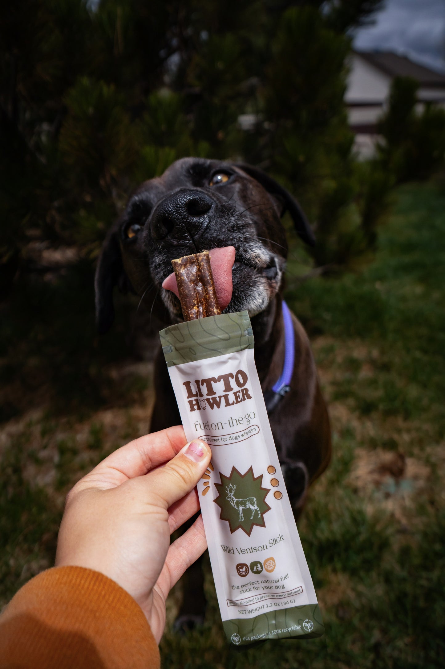 Wild Vension Stick