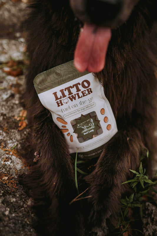 Beef Lung