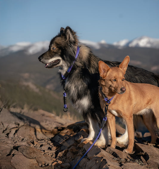 Milo Grab Tab - 7 + 8mm