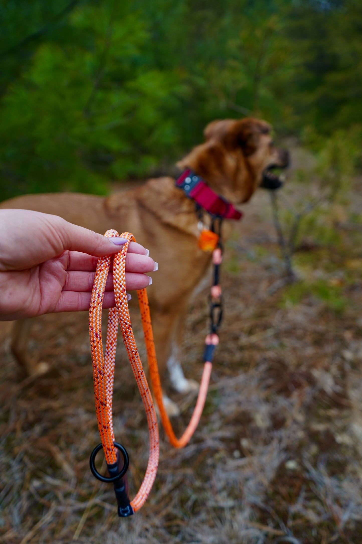 Ekko Leash - 9 + 10mm