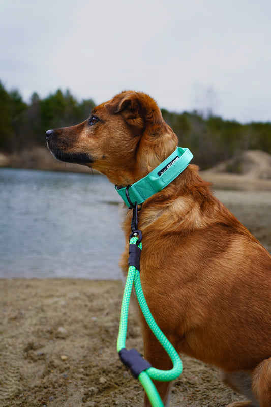 Noctis Traffic Lead - 9 + 10mm