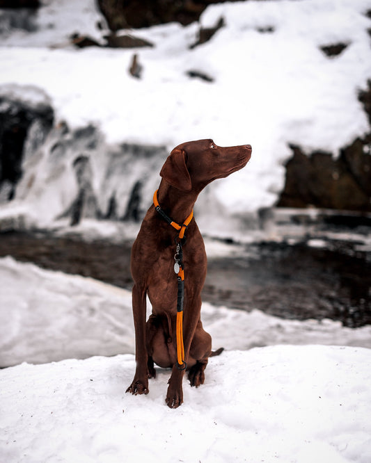 Monte Traffic Lead - 7 + 8mm