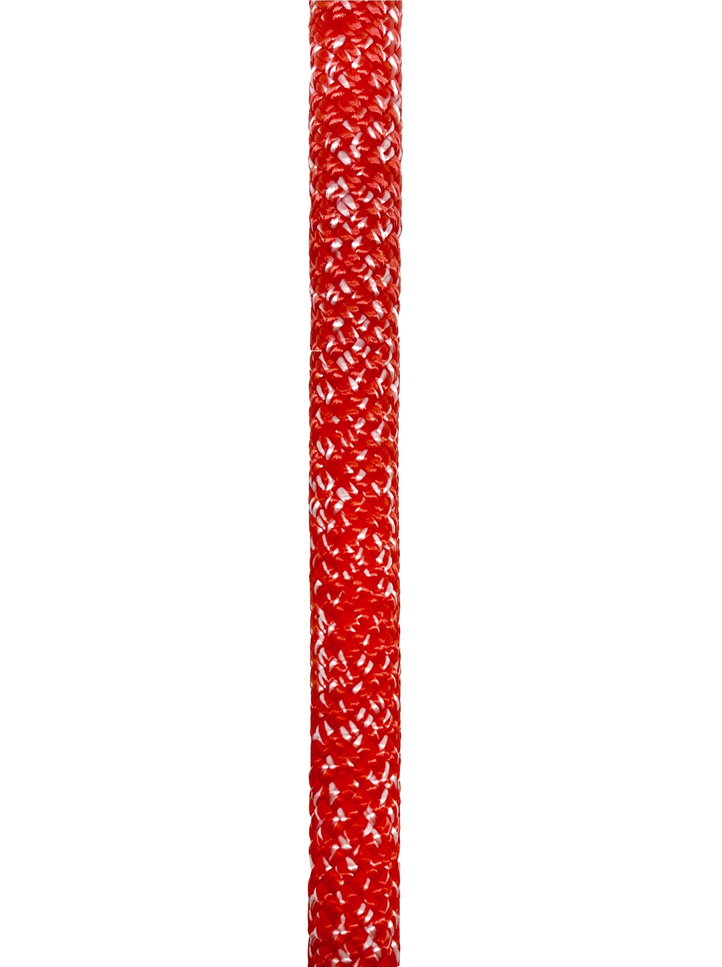 Pliny Slip-Drag Leash