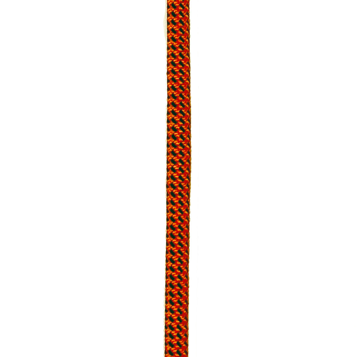 IN STOCK: Ekko Leash - Poppy Fields 8mm - 4 FT
