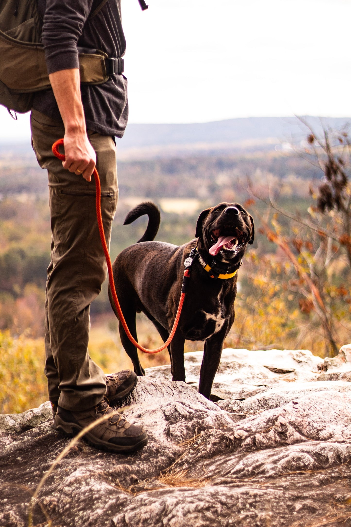 Ekko Leash - 9 + 10mm