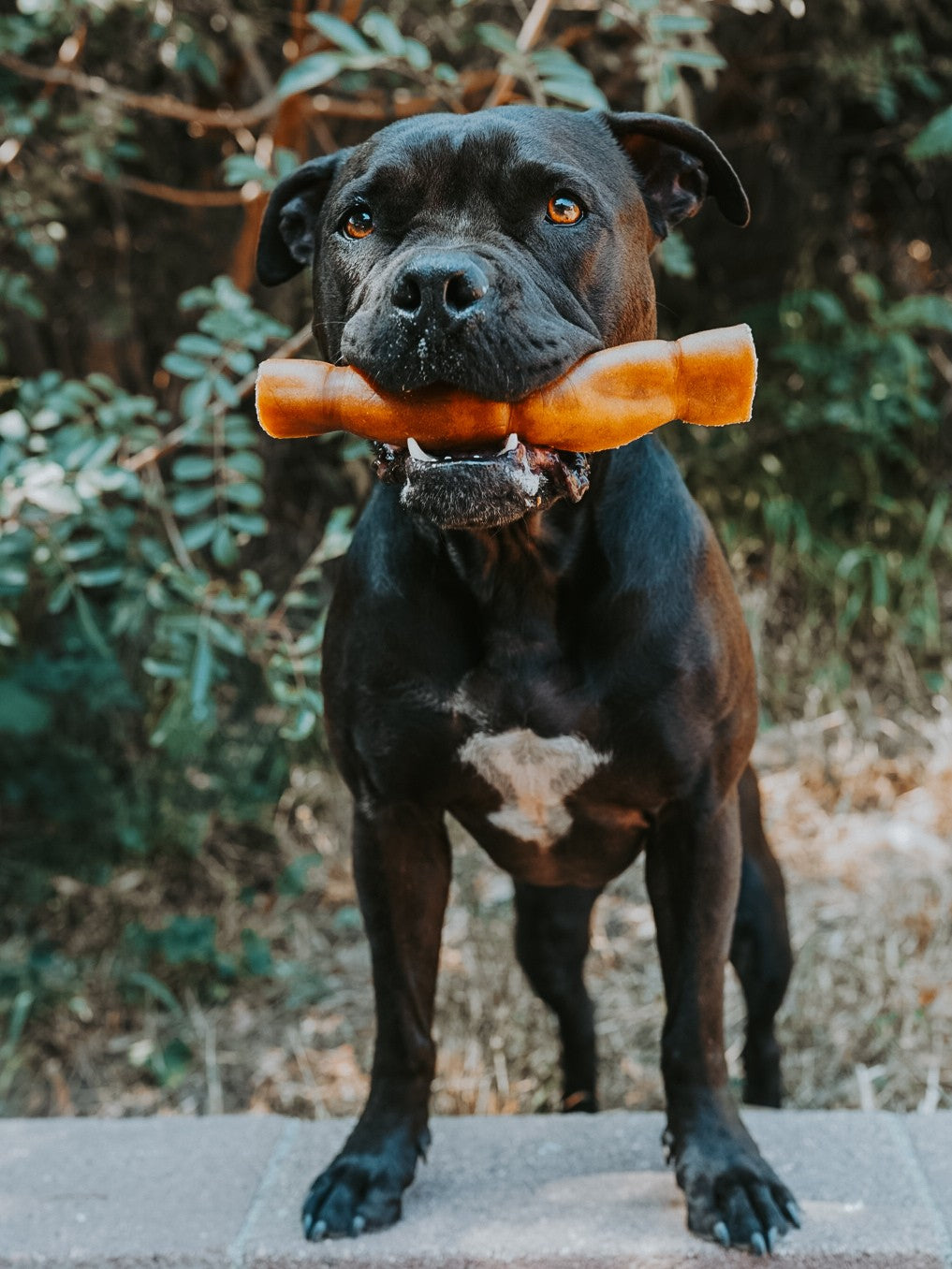 Grass-Fed Beef Rawhide Roll
