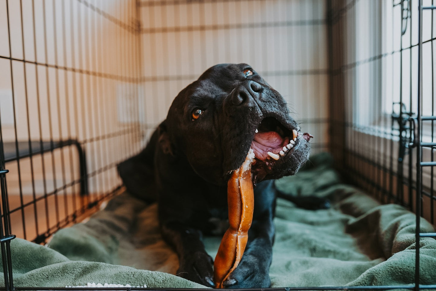 Grass-Fed Beef Rawhide Roll