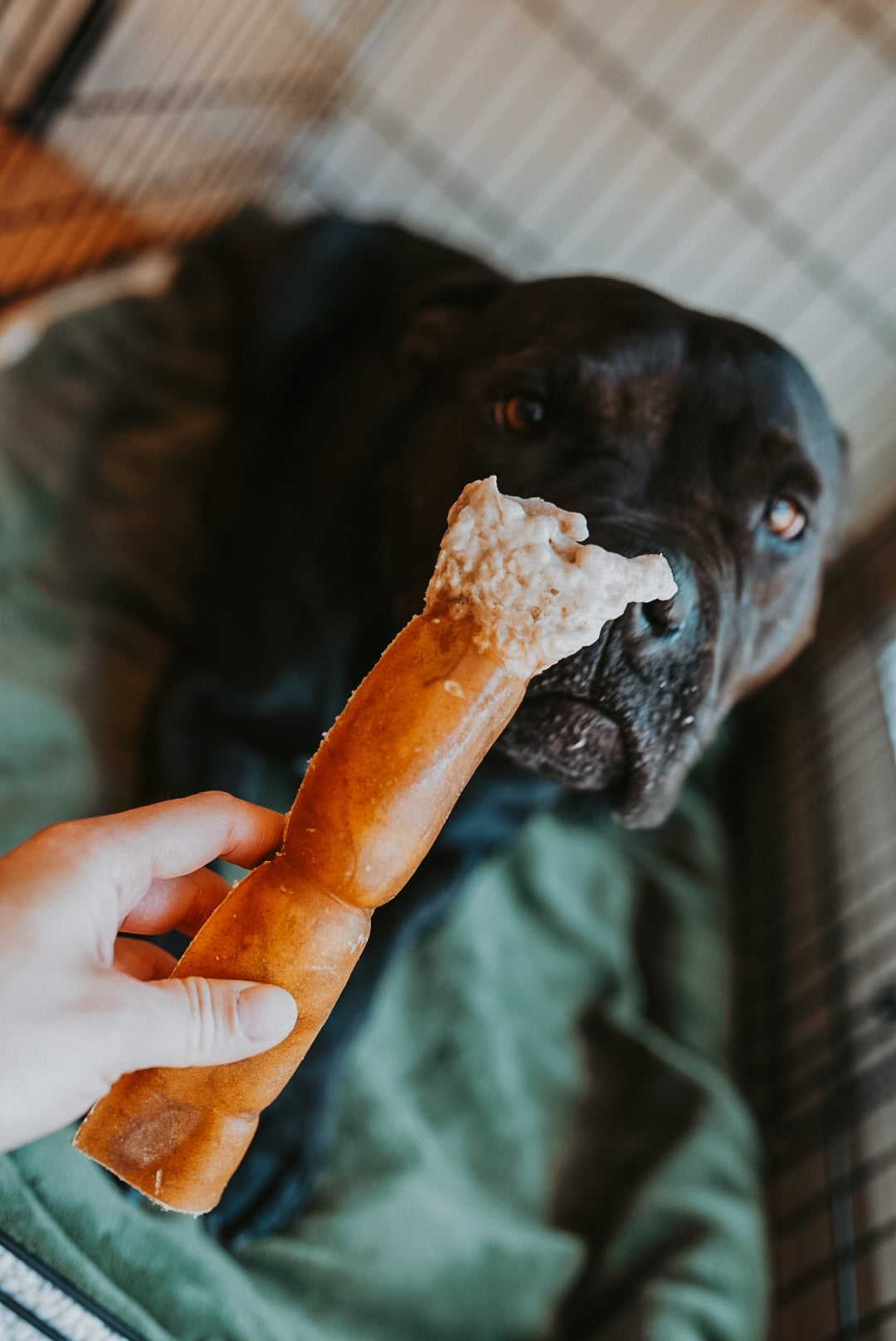 Grass-Fed Beef Rawhide Roll