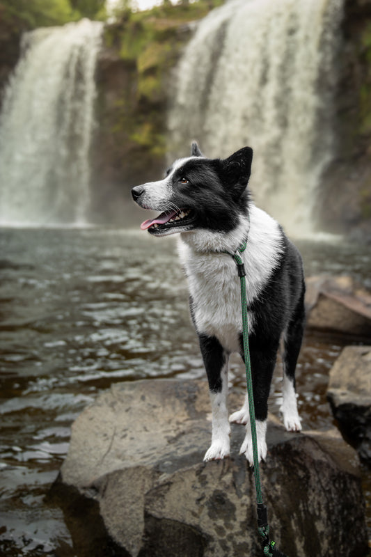 Bishop Slip Lead - 9 + 10mm