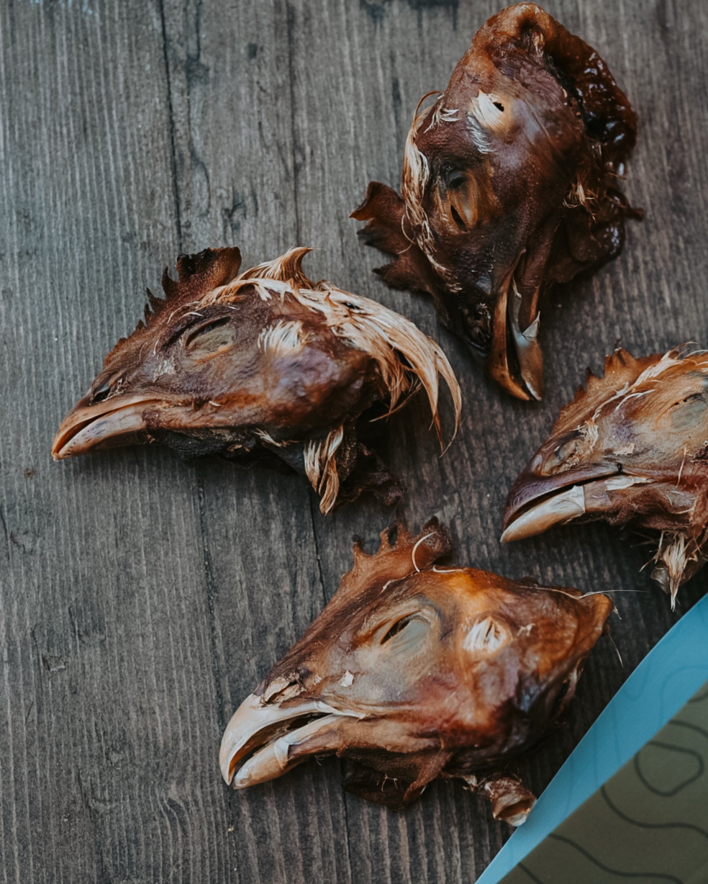 Chicken Head
