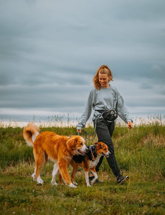 Kelso Hands-Free Double Leash - 9 + 10mm