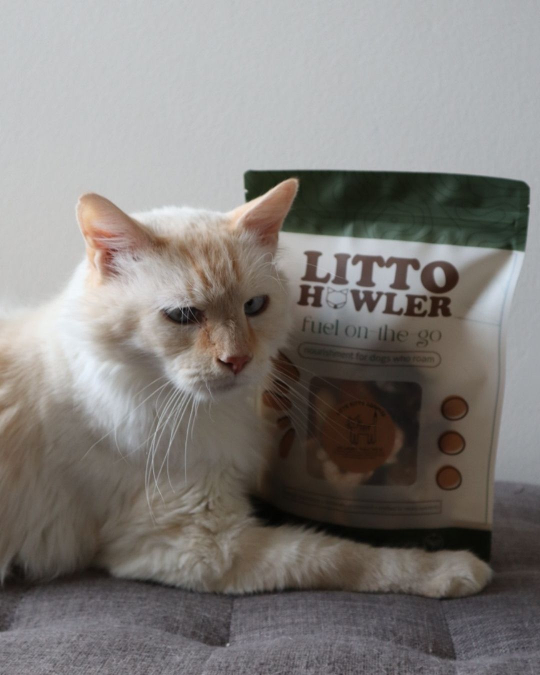 Litto Kitty Sampler Bag | 4 oz