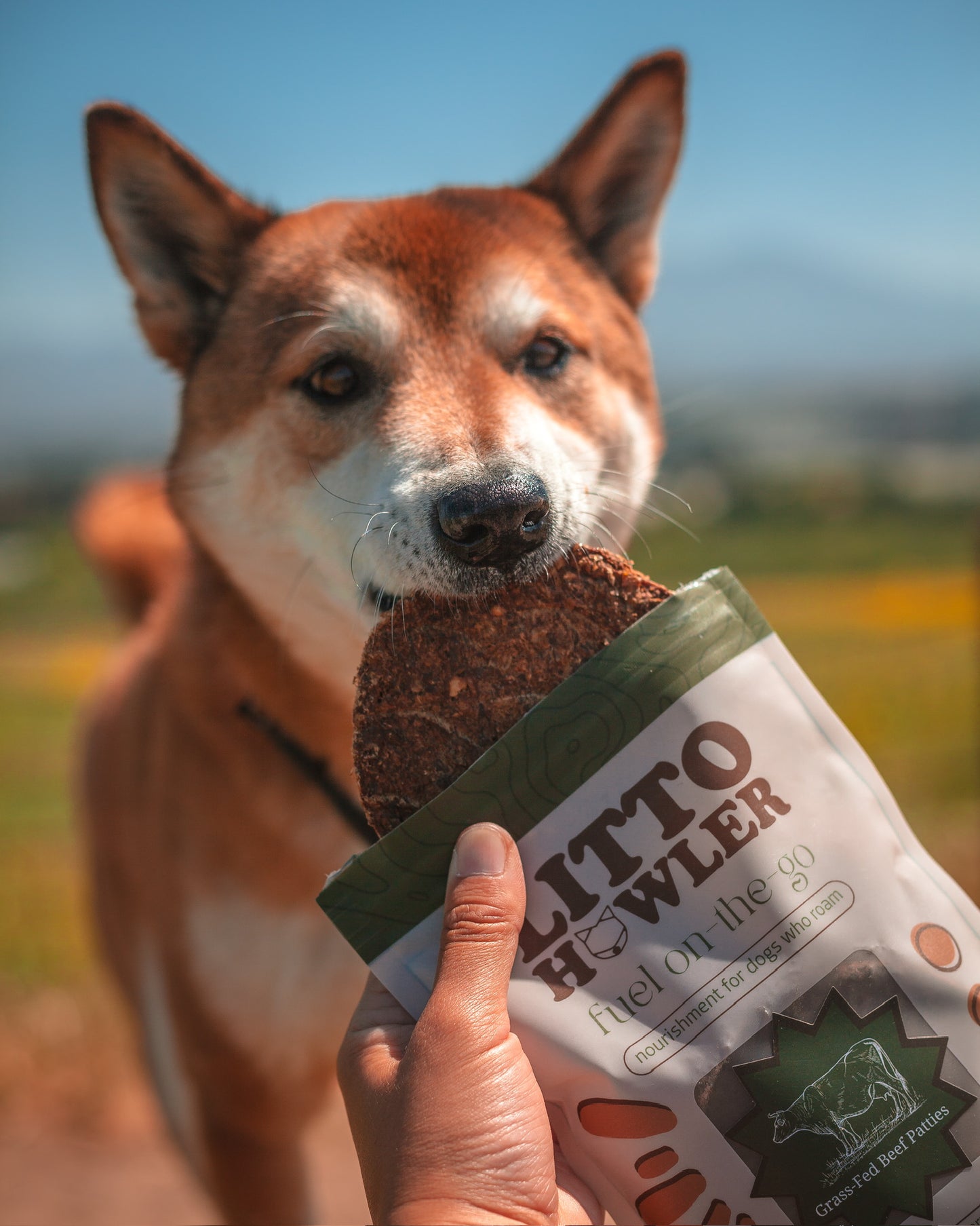 Grass-Fed Beef Patties