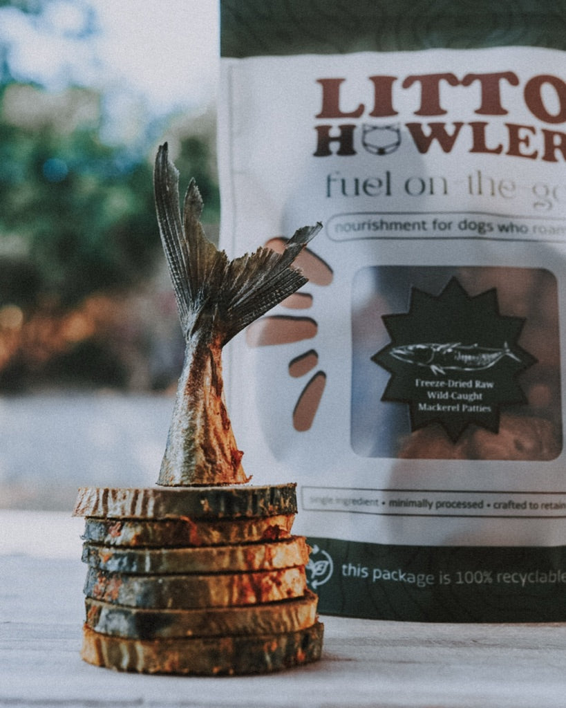 Freeze Dried Wild Caught Mackerel Patties