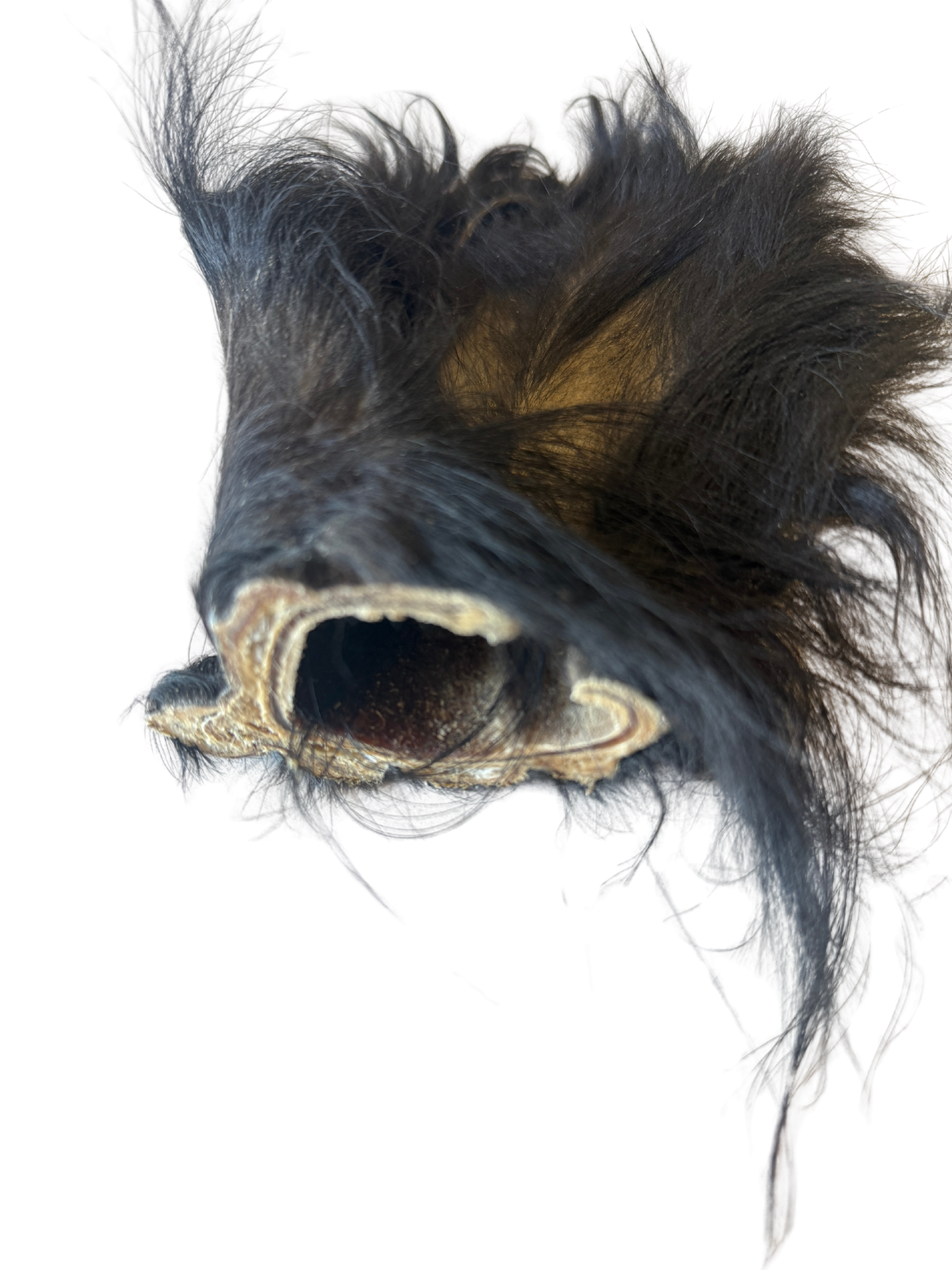 Grass-Fed Beef Ear Chew (Hairy)