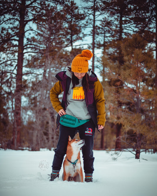 Adventure Pack - Teal