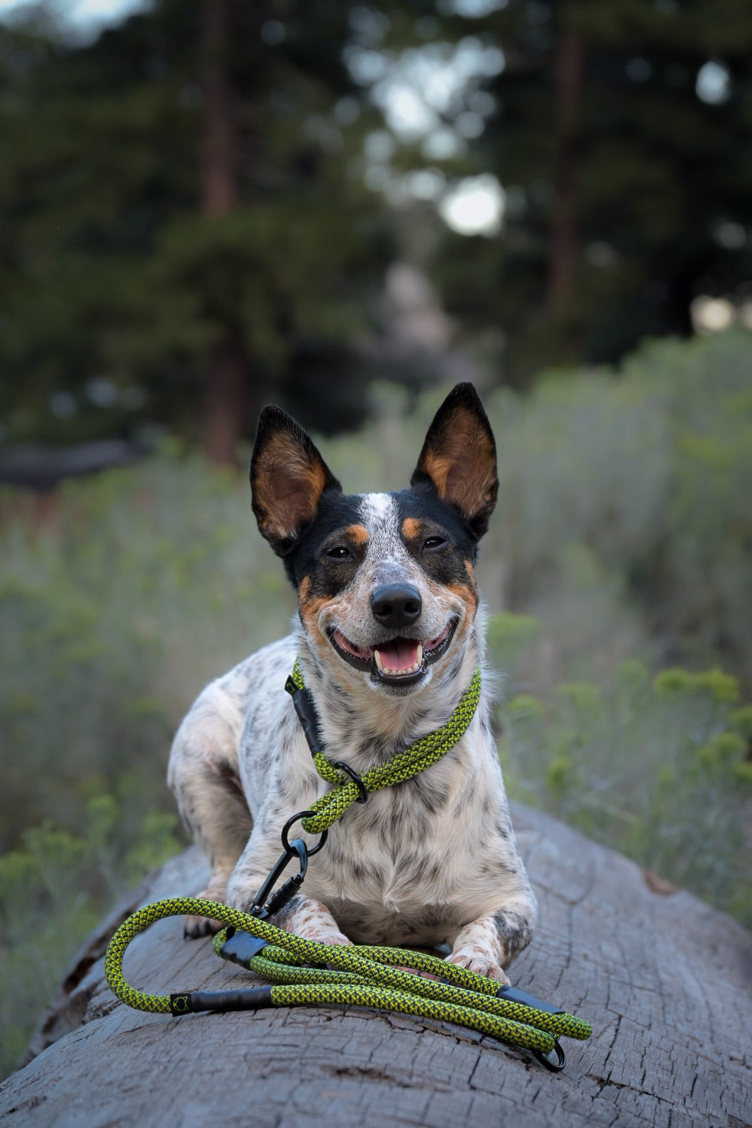 Rope Slip Collar - Saguaro Green 10mm
