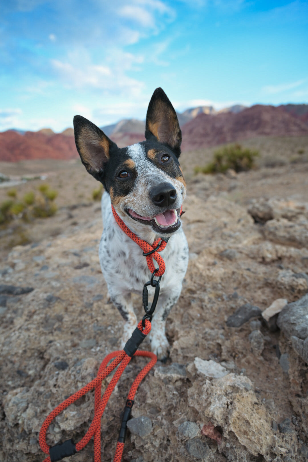 Rope Slip Collar - Moab Burnt Orange 10mm