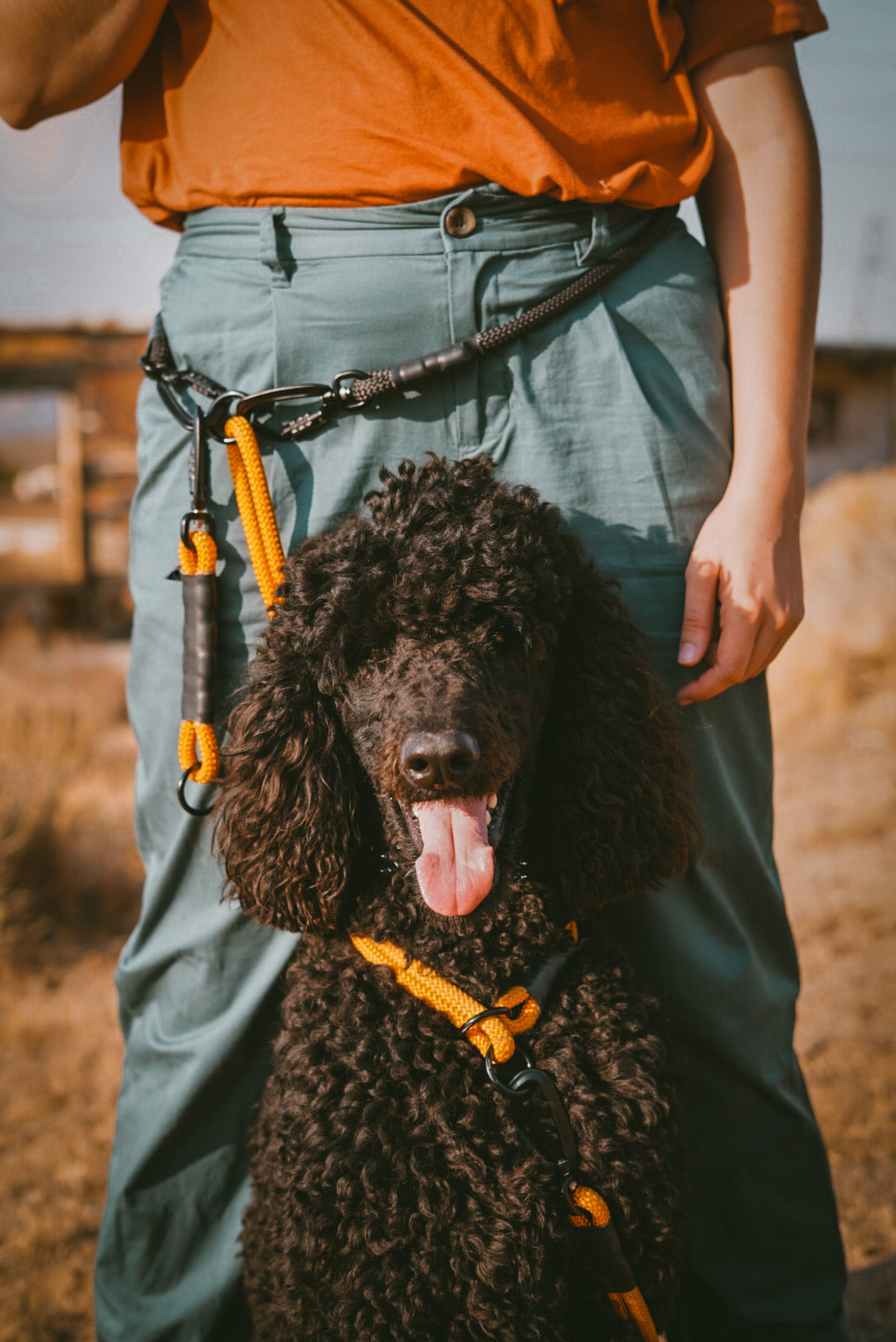 Rope Slip Collar - Mojave Orange 10mm