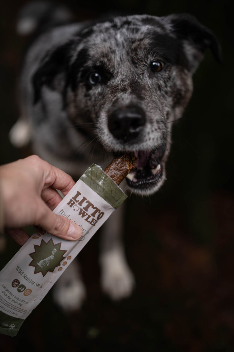 Fuel On-The-Go: Treats