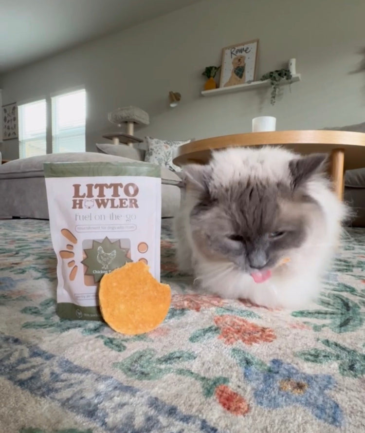 Curated for Cats