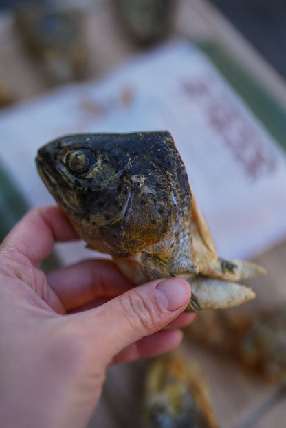 Freeze-Dried Trout Heads