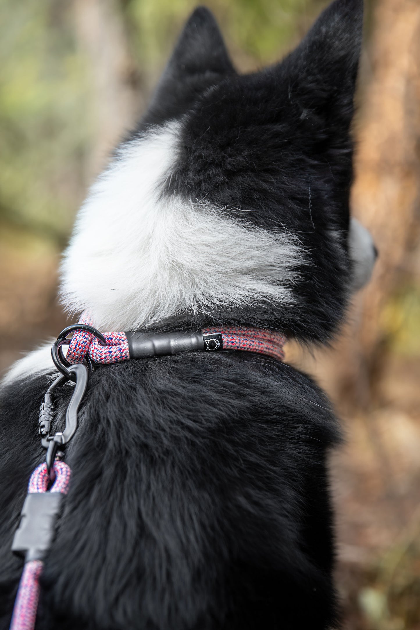 Rope Slip Collar - Wild Aster 10mm