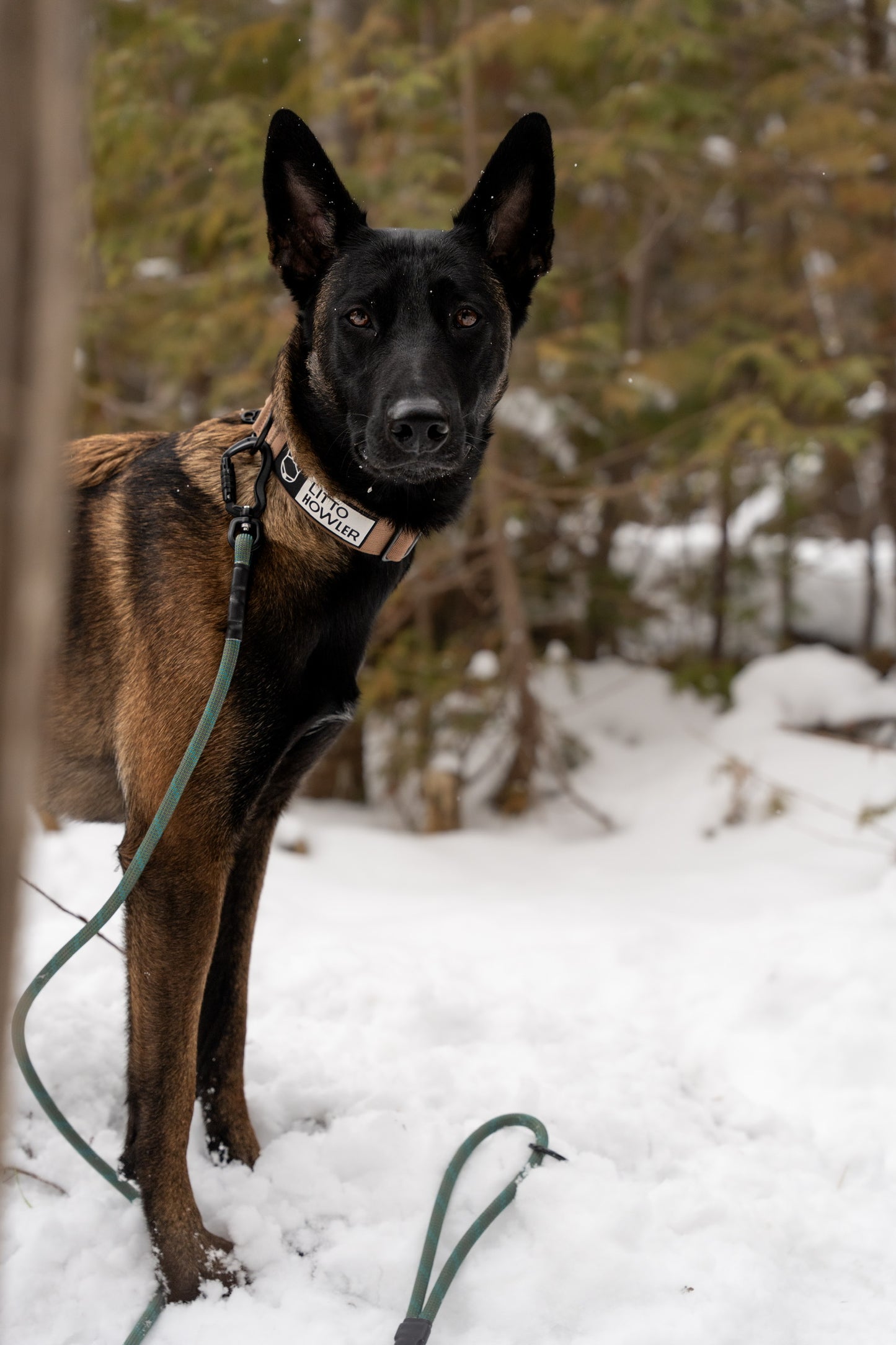 Ekko Leash - 9 + 10mm