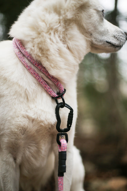 Rope Slip Collar - Wild Aster 10mm