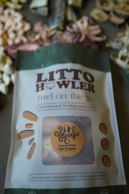 Freeze-Dried Litto Octopus