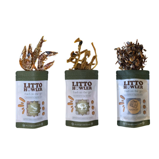 Founder's Choice: Everyday Toppers