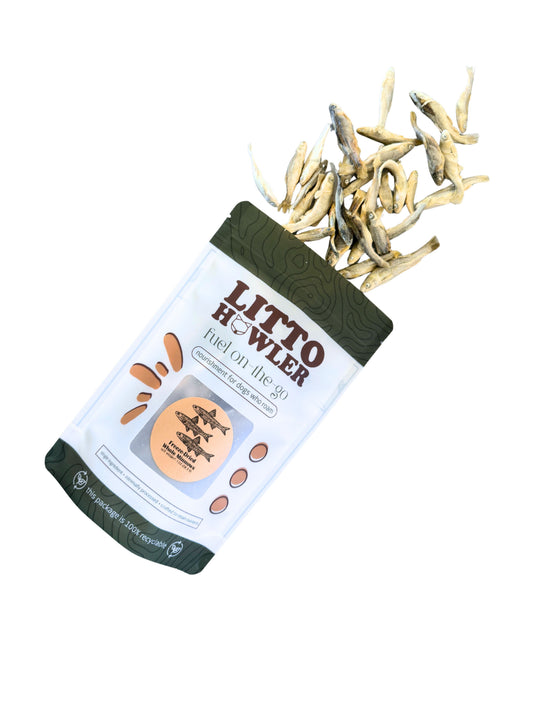 Freeze-Dried Whole Minnows