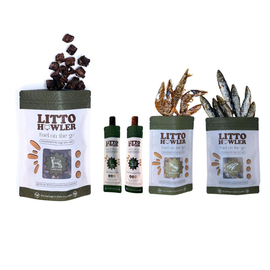Founder’s Choice: From Jess, With Love