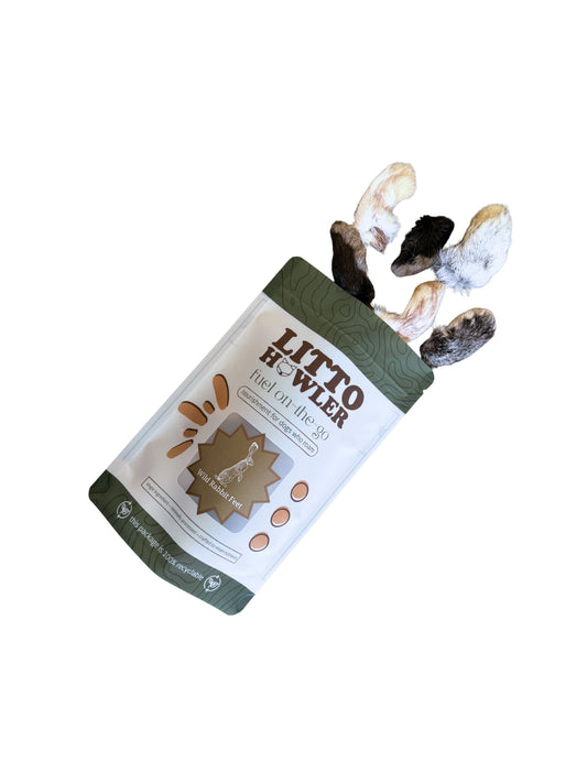 Wild Rabbit Feet | Small Front Feet