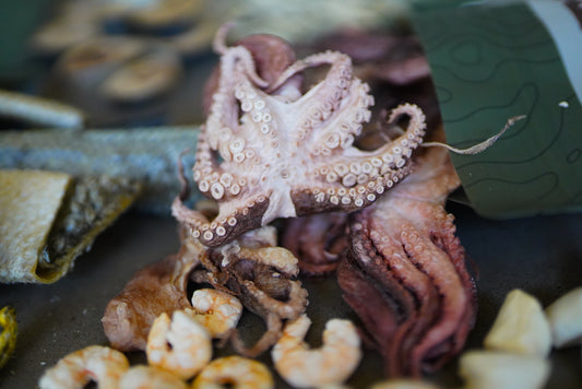 Freeze-Dried Litto Octopus