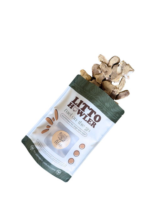 Freeze-Dried Turkey Gizzard